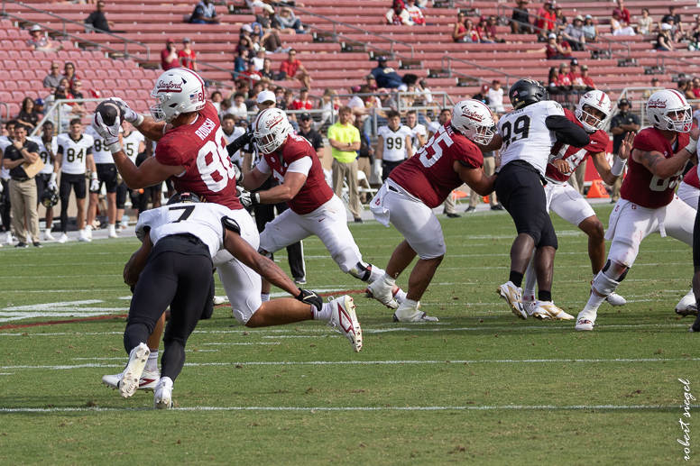 stanford football 2024